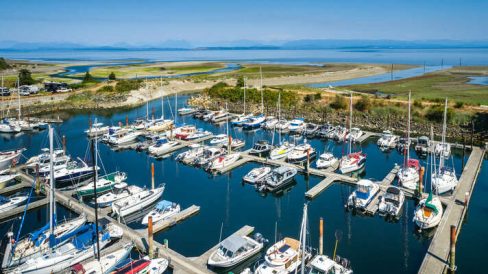 image_165595787 image_165595787