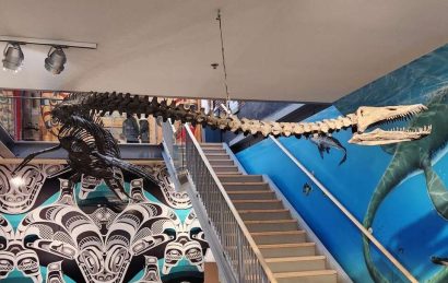 385003644_10168092068275167_3726960394479507798_n